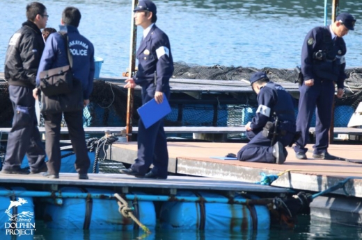 돌핀베이스의 신고로 조사를 나온 경찰들