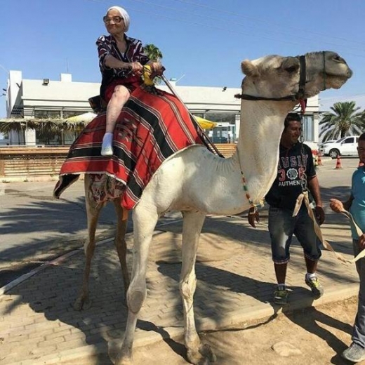 러시아의 용감무쌍한 할머니는 이스라엘 여행 당시 낙타타기에 도전했다.