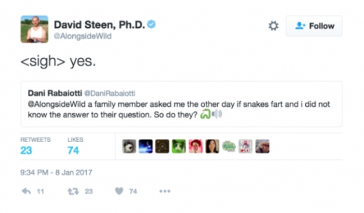 미국 오번대 생태학자 데이비드 스틴 박사의 트윗 내용.