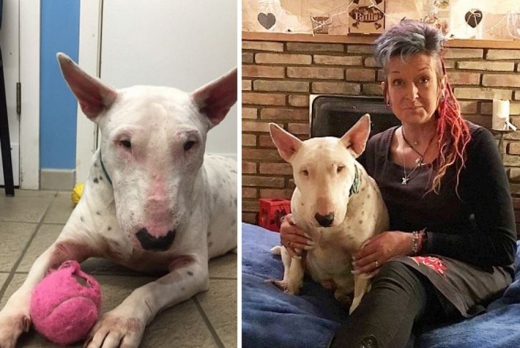 현재 주인인 해슬램에게 입양된 에릭은 2015년 9월 영국에 도착했다.