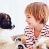 아이들, 형제보다 반려동물에게 만족감 더 커 (연구)