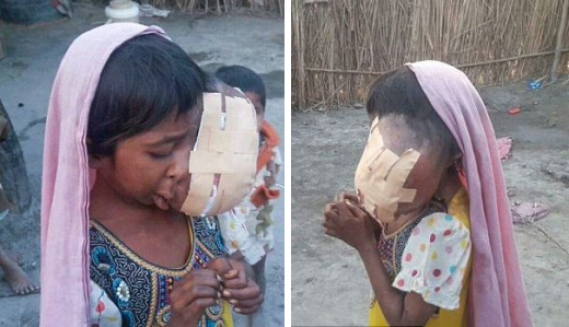 실제 옆에서 봤을 때 쉐자디의 모습. (사진=데일리메일 캡쳐)