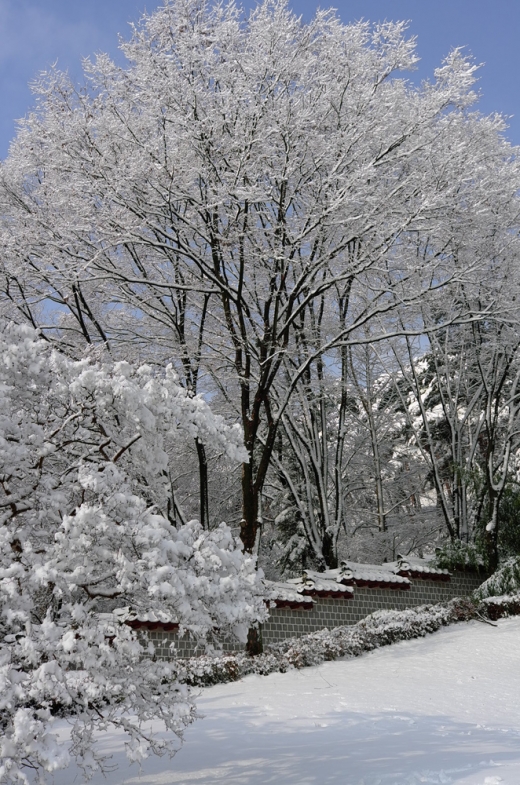 눈 내린 현충사의 풍광은 예로 부터 사진 작가들에게 가장 매력적인 장소다. 밤새 눈 내린 현충사를 카메라에 담기 위해 많은 사진 작가들이 몰려 오는 곳이다.