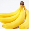 [와우! 과학] 당신이 즐겨 먹는 바나나, 멸종으로 가고 있다?