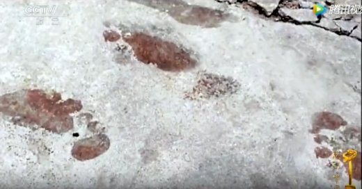 화재 당시 마지막 불길을 뚫고 나오며 바닥에 찍힌 왕씨의 피 묻은 발자국은 사람들을 더욱 안타깝게 했다. (사진-=CCTV)