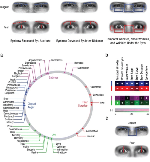 연구 논문에 첨부된 이미지. 혐오감과 두려움이라는 감정이 우리 눈에 어떻게 드러나는지를 보여준다.