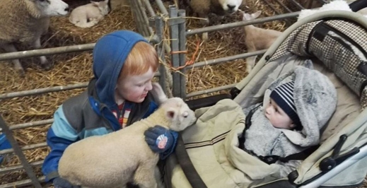 루벤은 6개월된 남동생 토비에게 모든 동물을 보여주고 싶어한다. 아직 어려서 이해하기 힘들지만 토비도 형의 선례를 따를지도 모른다.