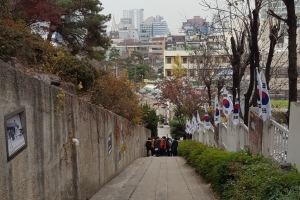 [윤기자의 콕 찍어주는 그곳] 100년 전 시간 여행…대구 청라언덕