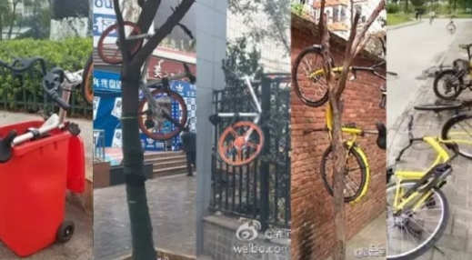 아예 나무에 매달아놓은 자전거.