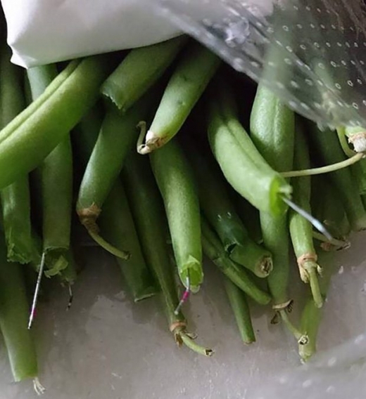 끝부분을 자른 깍지콩 밖으로 쇠로 된 물질이 무더기로 튀어나와있는 모습을 확인할 수 있다. (사진=메트로)