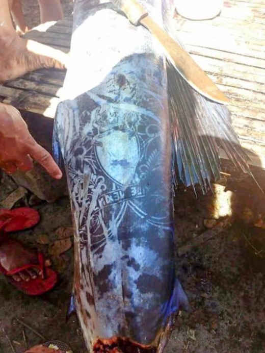 복잡한 모양이 한데 어우러진 물고기의 외피.(사진=미러)