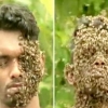 6만 마리 벌떼 얼굴에 붙이고 사는 남자