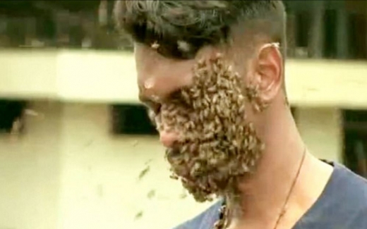 그는 벌 없는 삶은 생각할 수도 없다고 말했다. (사진=데일리메일 캡쳐)