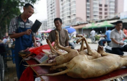노점상 판매대에 진열되어있는 개고기. (사진=데일리메일 캡쳐)