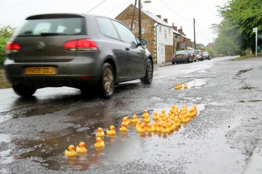 포트홀 주변에 뜬 노란색 오리 장난감이 시각적인 효과를 주고 있다.