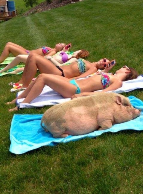 미인이 되려면 선탠은 필수.