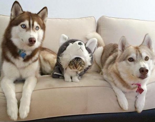 소파에 앉으려면 이정도 쯤이야...