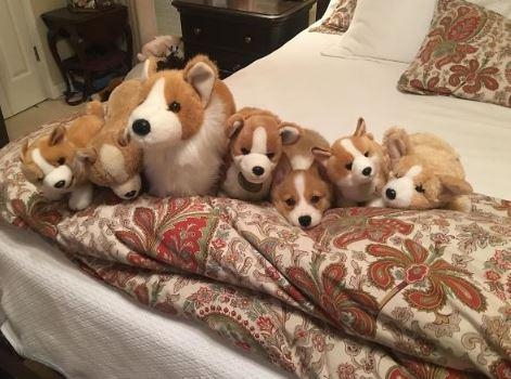 이제 그만하면 안될까요? 저 피곤한데...