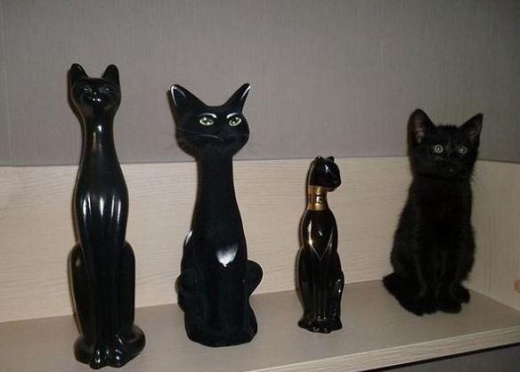 꼼짝않고 서 있기.