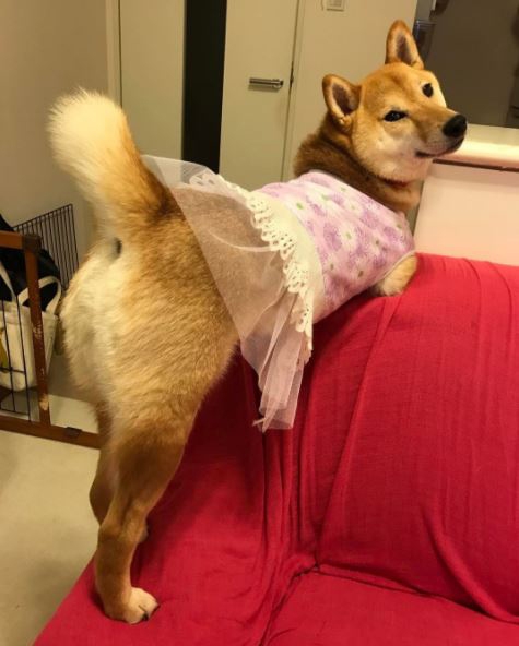 귀여운 옷을 입었지만 특유의 요염미는 여전하다. (사진=인스타그램 캡쳐)