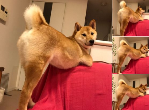 어느 각도에서 찍어도 섹시한 자세가 흐트러지지 않는다. (사진=인스타그램 캡쳐)