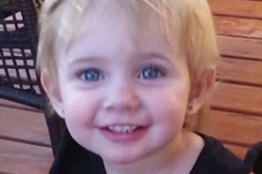 딸 애디슨(2)과 브린(1)의 죽기 전 모습. (사진=미러)