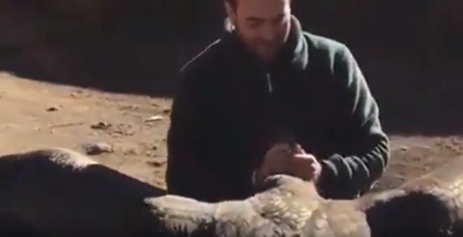 오랜만에 만난 그들은 언어와 몸짓으로 대화를 나누고 있다. (사진=유튜브 캡쳐)