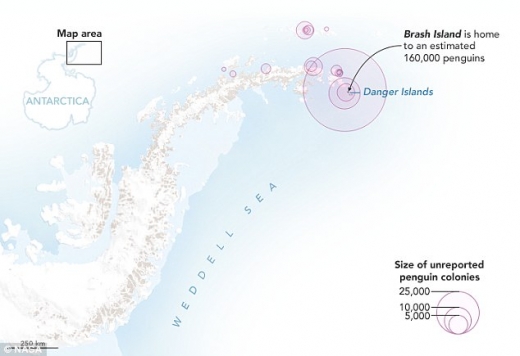 알고리즘과 위성을 이용해 찾은 아델리 펭귄의 주요 서식지
