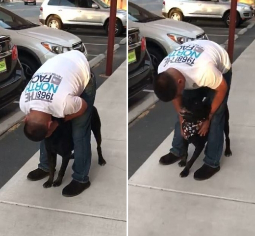 오랫만에 만난 둘은 반가움에 서로의 눈을 맞추고 있다. (사진=데일리메일 캡쳐)