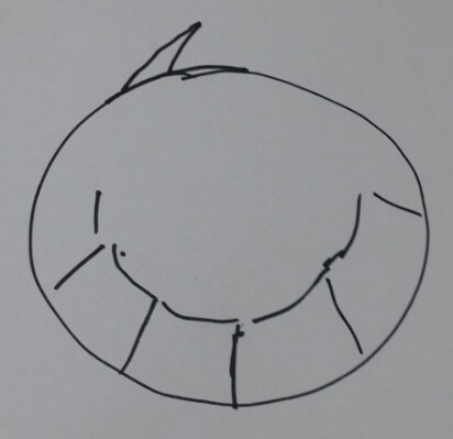 김유진(50)씨와 아들 조모(13)군이 맨눈으로 목격한 UFO의 형태를 표현한 스케치 사진.