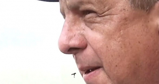 말벌이 그의 입 속으로 들어가기 단 몇초 전. (사진=데일리메일 캡쳐)
