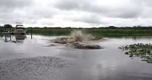 스콧이 강가로 물을 버리자, 몇 미터 떨어진 곳에서 큰 물보라가 일었다. (사진=뉴욕데일리)