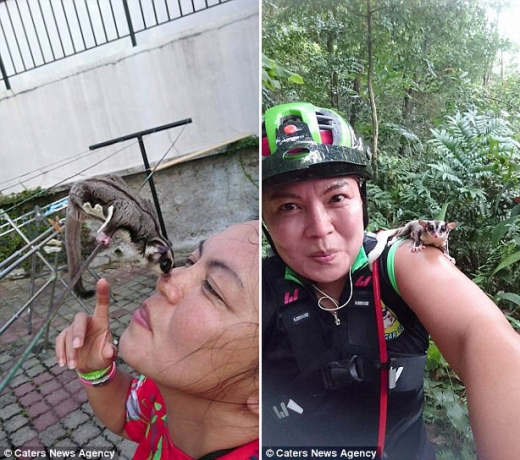 누르마야 사리 시레가르(44)는 슈가 글라이더 17마리와 함께 살고 있다.