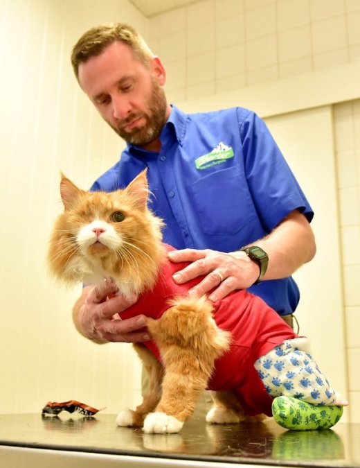 로니는 앞으로 4주 동안 집중적으로 치료를 받은 뒤 집으로 돌아갈 계획이다. (사진=더미러)