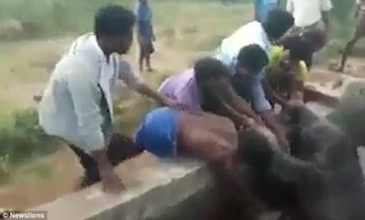 이 코끼리는 물을 마시려고 하다가 수조에 빠진 것으로 추정된다.