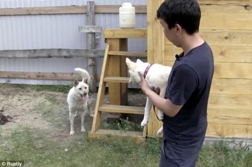 케레첸와 수투크는 처음에 서로 경계하는 듯이 보였다.