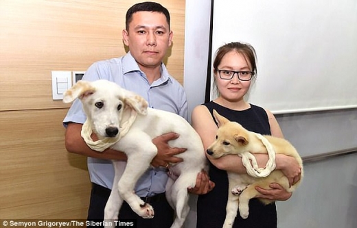 이번 복제 프로젝트의 목적은 이종 교배 문제로 위협을 받는 라이카 견종을 구하기 위한 것이다.