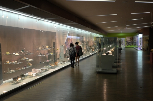 국내 최대 규모라는 말이 실감날 정도로 3만 여점이 넘는 전시품들은 하나하나 진귀한 볼거리를 제공한다.