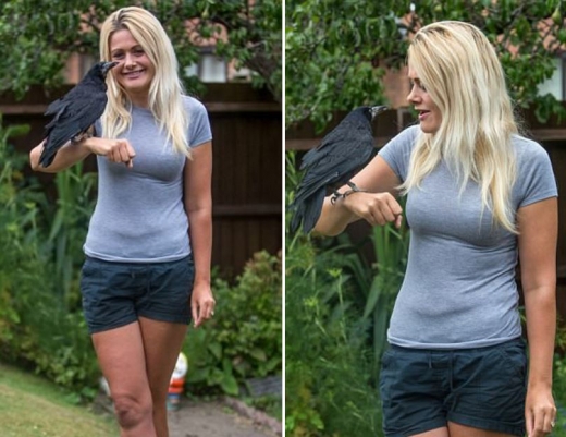 헬렌은 150만원을 투자해서 러셀에게 새장을 선물했고, 그 보금자리가 러셀이 새로운 환경에 적응하는데 많은 도움이 되었다. (사진=데일리메일 캡쳐)