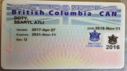 도티의 자녀에게 발급된 의료카드. 성별(SEX)기재란에 ‘U’라고 적혀있다.