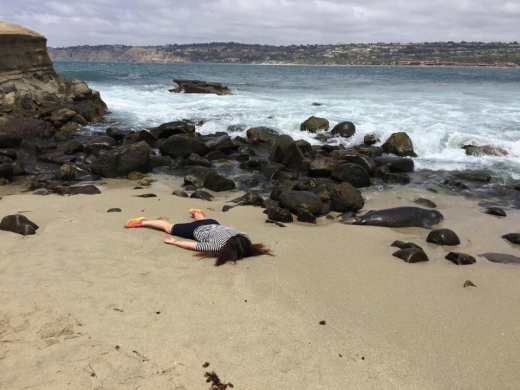 산디에고의 어느 해변 그녀 오른 편에 바다사자도 함께 누워있다. (사진=더썬)