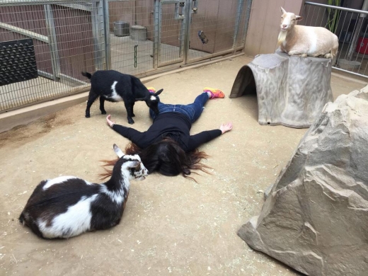 산 디에고의 한 동물원에서. (사진=더썬)