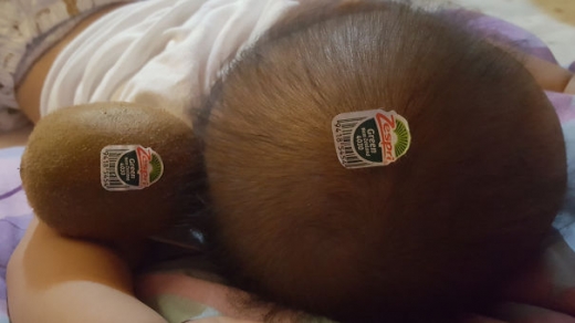 아내도 먹을 것도 집에 없고, 먹을 건 키위뿐인가?