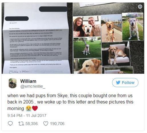 윌리엄의 트위터 계정. (사진=메트로)