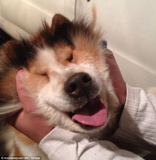 빰을 누르면 눈이 보이지 않는 것 같다.