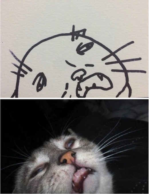 고양이의 기분 상태가 그림에 잘 나타나 있다. - 이미저