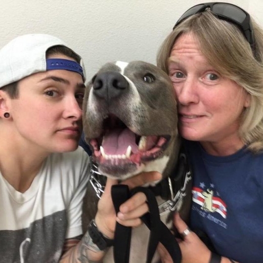 뉴하우저가 레오를 데리러 갔을 때, 택배차가 아니었음에도 레오는 한걸음에 달려와 짖으며 그녀의 차에 올라탔다.