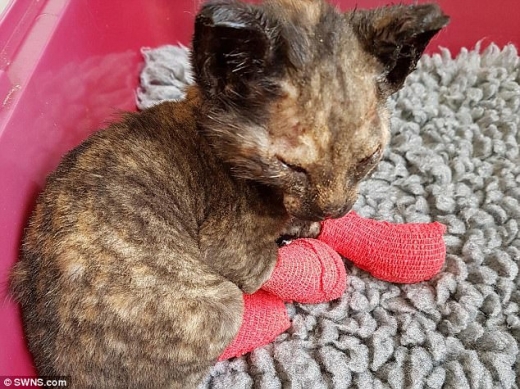 꽁꽁 싸매고 있는 발때문에 잠자는 자세도 불편해 보인다.