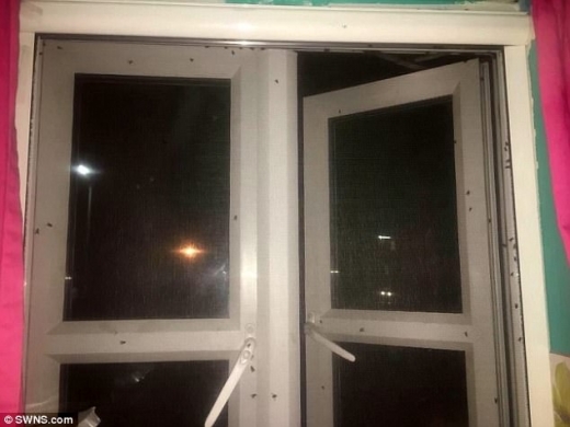 도처에 우글거리는 파리떼로 집 안보다 집 밖이 오히려 더 안전하다고 느껴질 정도였다.