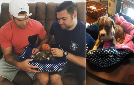 지미 무어(왼쪽)와 티머스 덱스터 소방관은 함께 티투스를 돌보기로 했다.